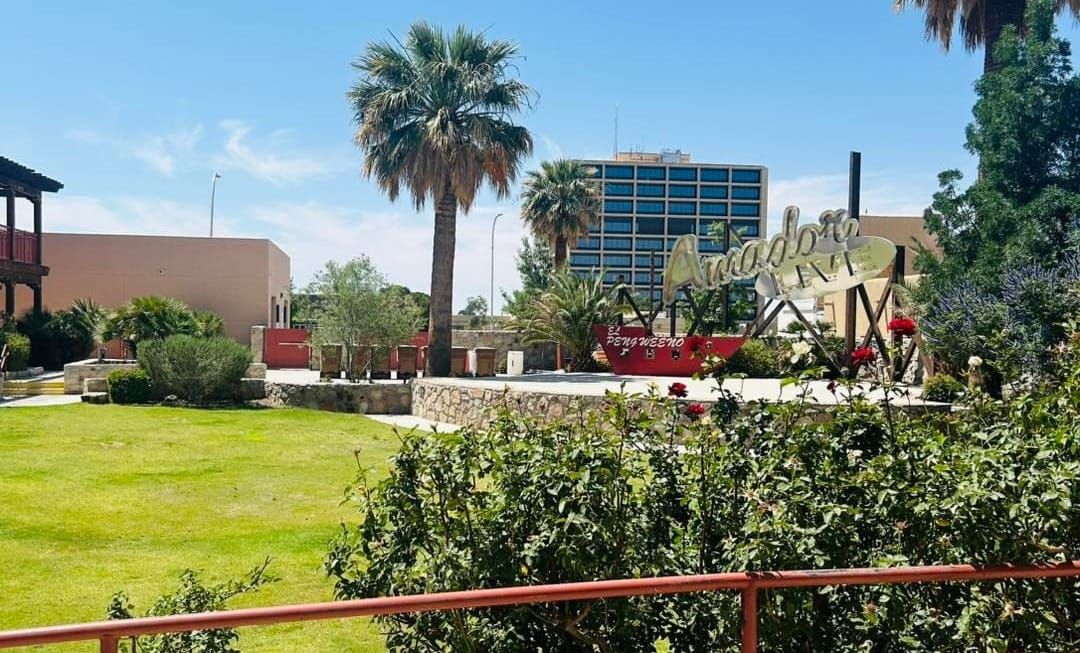 City of Las Cruces launches free teen dance series this summer