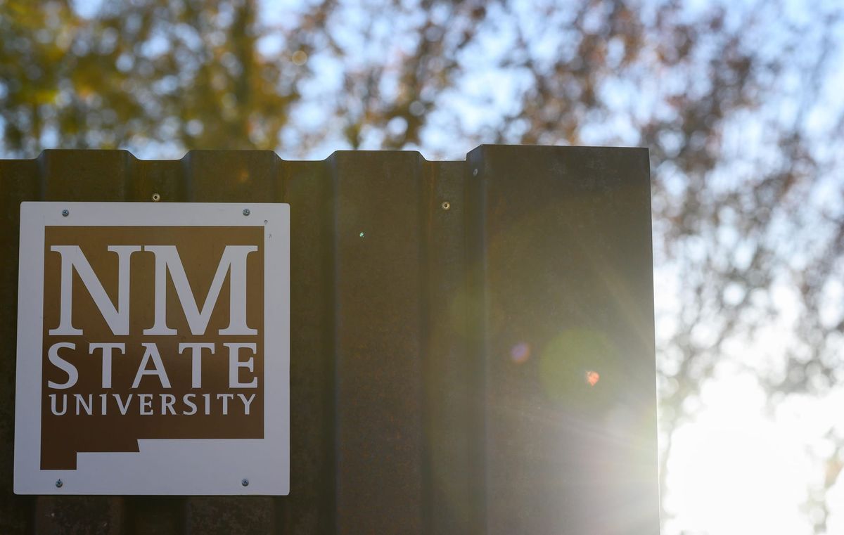 NMSU faculty named among world’s top research scientists