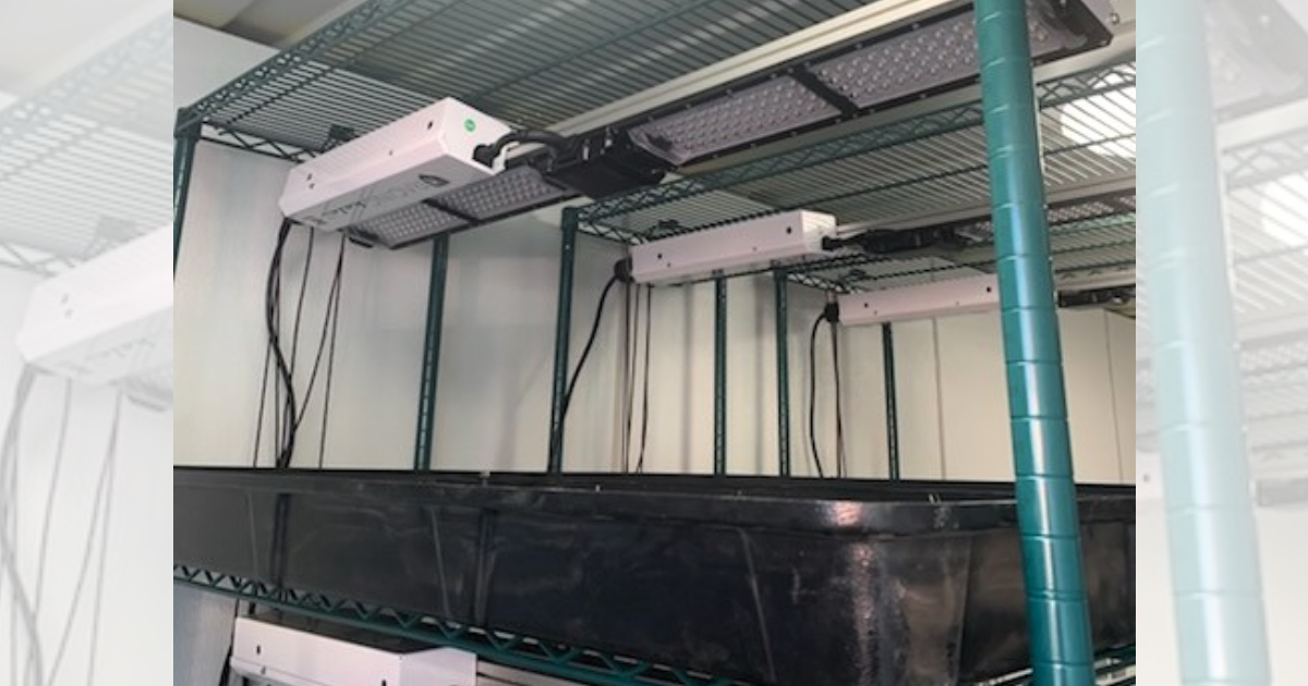 DACC partners with NMSU to develop hydroponic plant system for Farm & Ranch Heritage Museum
