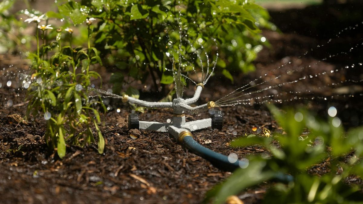 Las Cruces to begin spring, summer watering restrictions April 1