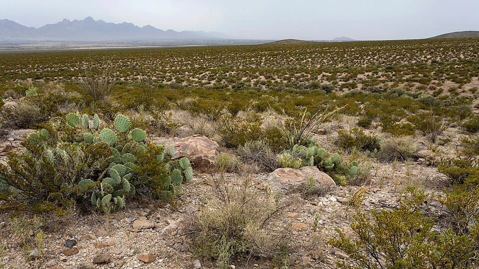 Man charged with 1st-degree child abuse after allegedly leaving injured teen in desert following ATV crash