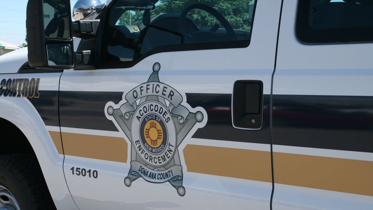 21 dogs found in severe neglect conditions at Chaparral home; 15 rescued