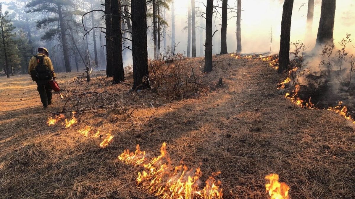 New Mexico enacts sweeping statewide fire restrictions to prevent wildfires