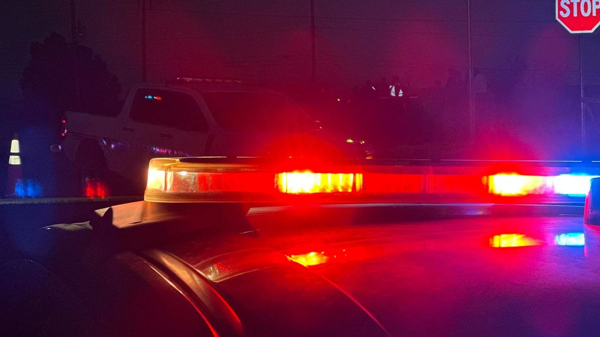 Las Cruces woman accused of stabbing father during argument over moving boxes, finances