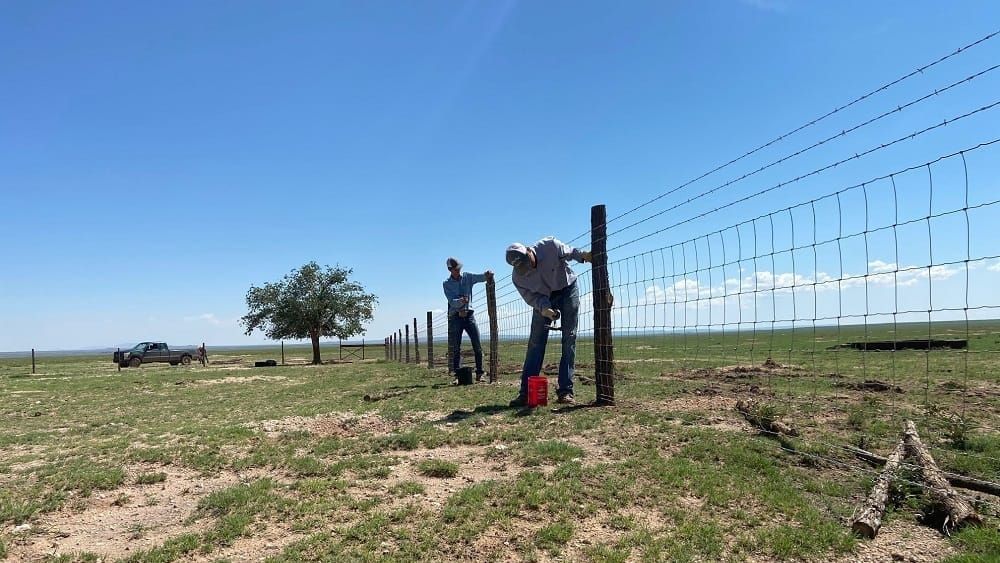 New Mexico offers ag businesses up to $15,000 to hire interns