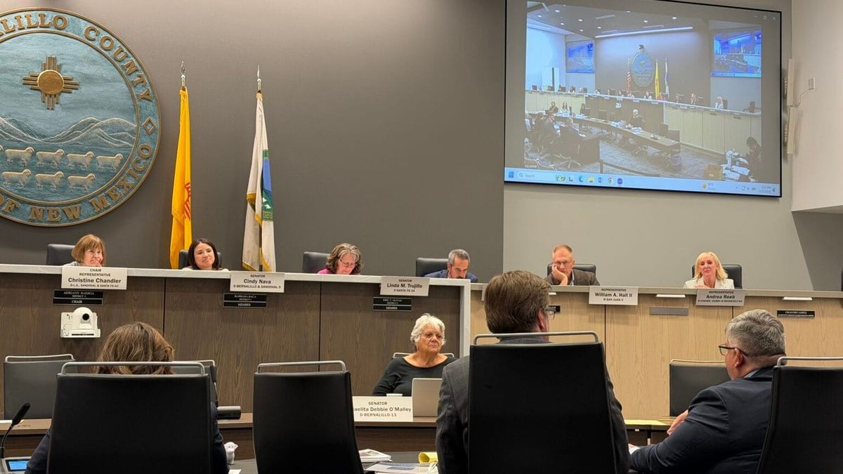 New Mexico public defenders, experts warn lawmakers of extreme caseloads, understaffing