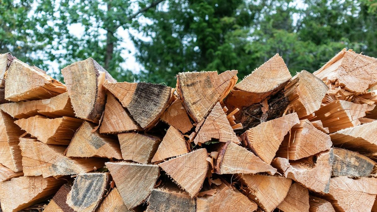BLM fuelwood permits available in Las Cruces and online
