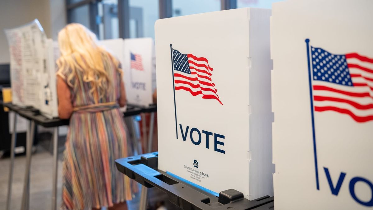 More than 21,800 ballots cast in Doña Ana County with 10 days until Election Day