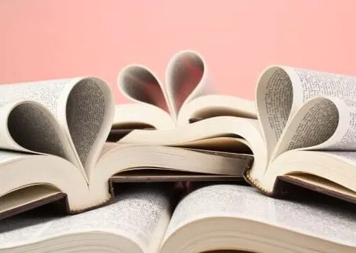 Romance book discussion planned for Dec. 5 at Branigan