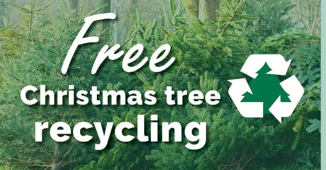 Christmas tree recycling event set for January 4 in Las Cruces