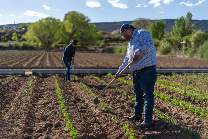 Farmers, food banks decry program loss