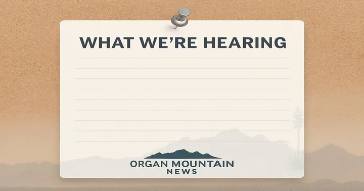What we're hearing this week: special ed stipends, Young Park and I-10 dust crashes