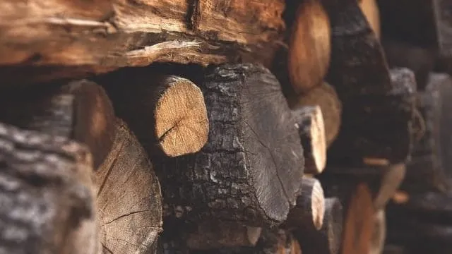 A close-up view of stacked firewood showing rough-cut logs and bark textures.