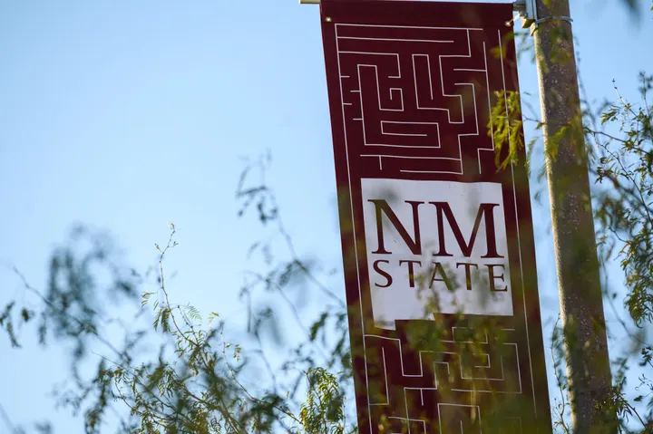 A maroon New Mexico State University banner reading “NM State” hangs from a pole with tree branches in the foreground.
