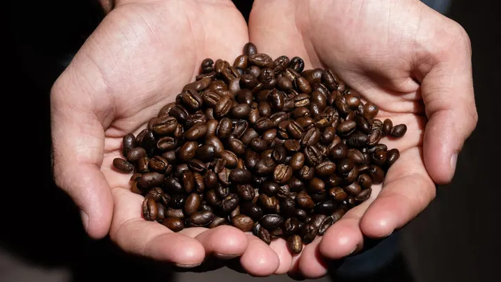A pair of cupped hands holds a pile of roasted coffee beans.