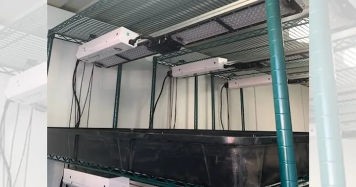 Hydroponic growing system with LED lights and planting trays inside a modified container unit developed by DACC and NMSU for agricultural research and demonstrations.