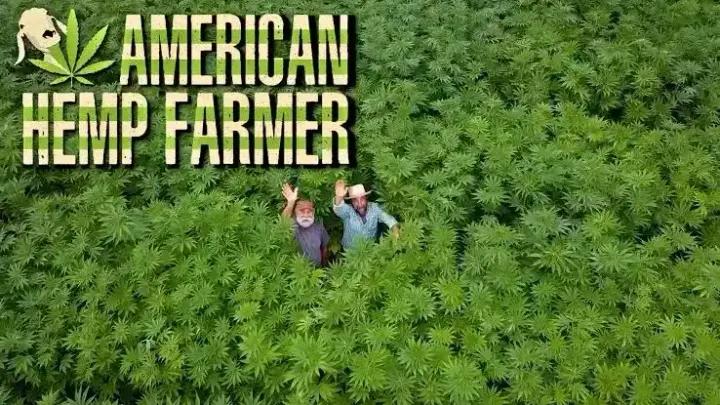 Promotional image for “American Hemp Farmer” showing two men standing in a dense hemp field with the film title overlaid.