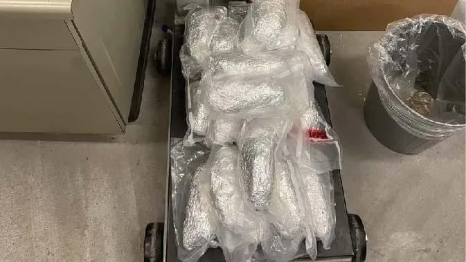 Driver sentenced to nearly 22 years after fatal crash during checkpoint flight