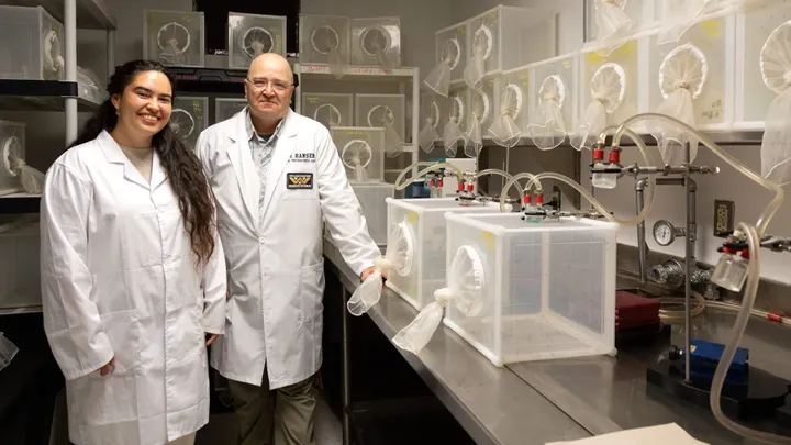 NMSU researchers Anjali Karki and Immo Hansen stand inside a mosquito research lab with mosquito-rearing containers used for disease-control studies.