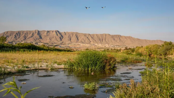 A view of the Rio Grande bordered by vegetation, with mountains in the background and two birds flying overhead below Elephant Butte Lake.