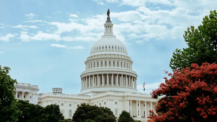 The U.S. Capitol dome rises above trees in Washington, D.C.