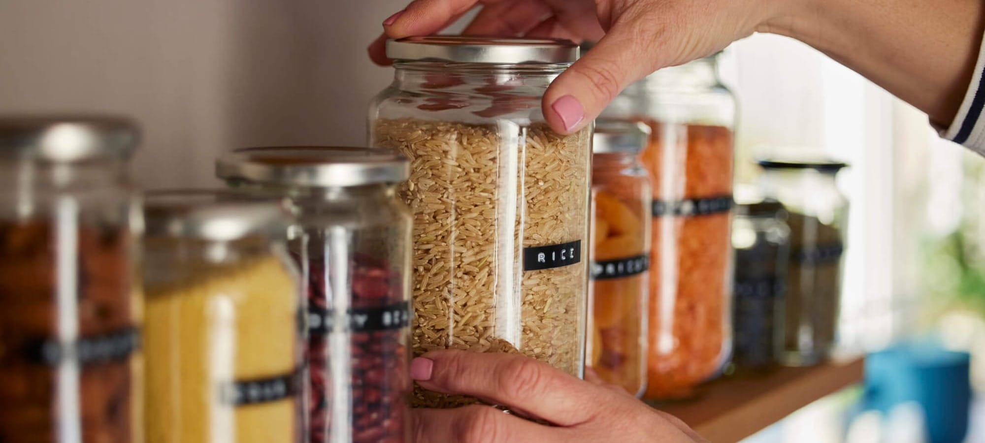 reusable containers by Daisy-Daisy