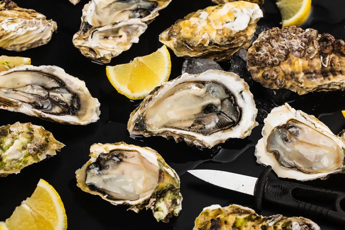 Best Oyster Knife: 5 Options for Home Cooks Who Want to Shuck