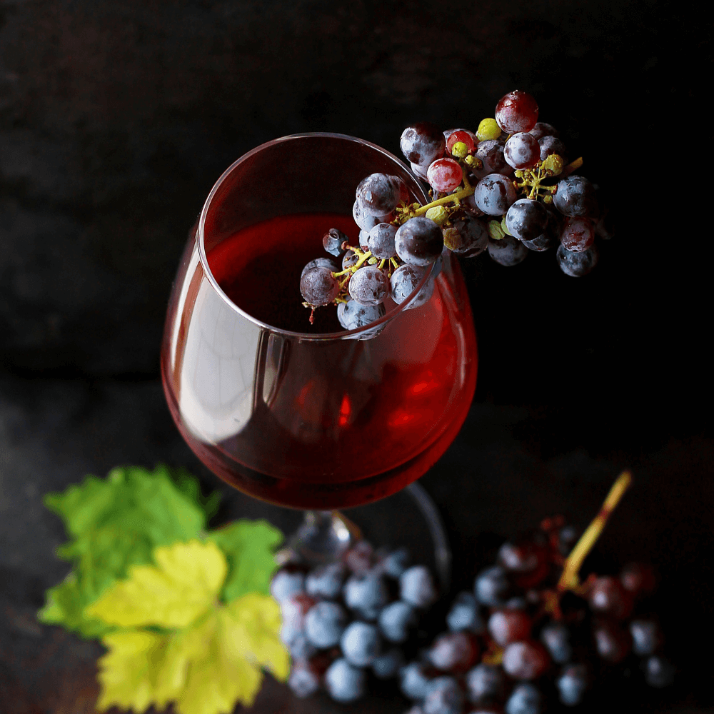 Wine Tasting Techniques: A Beginner's Insight into Quality Wines