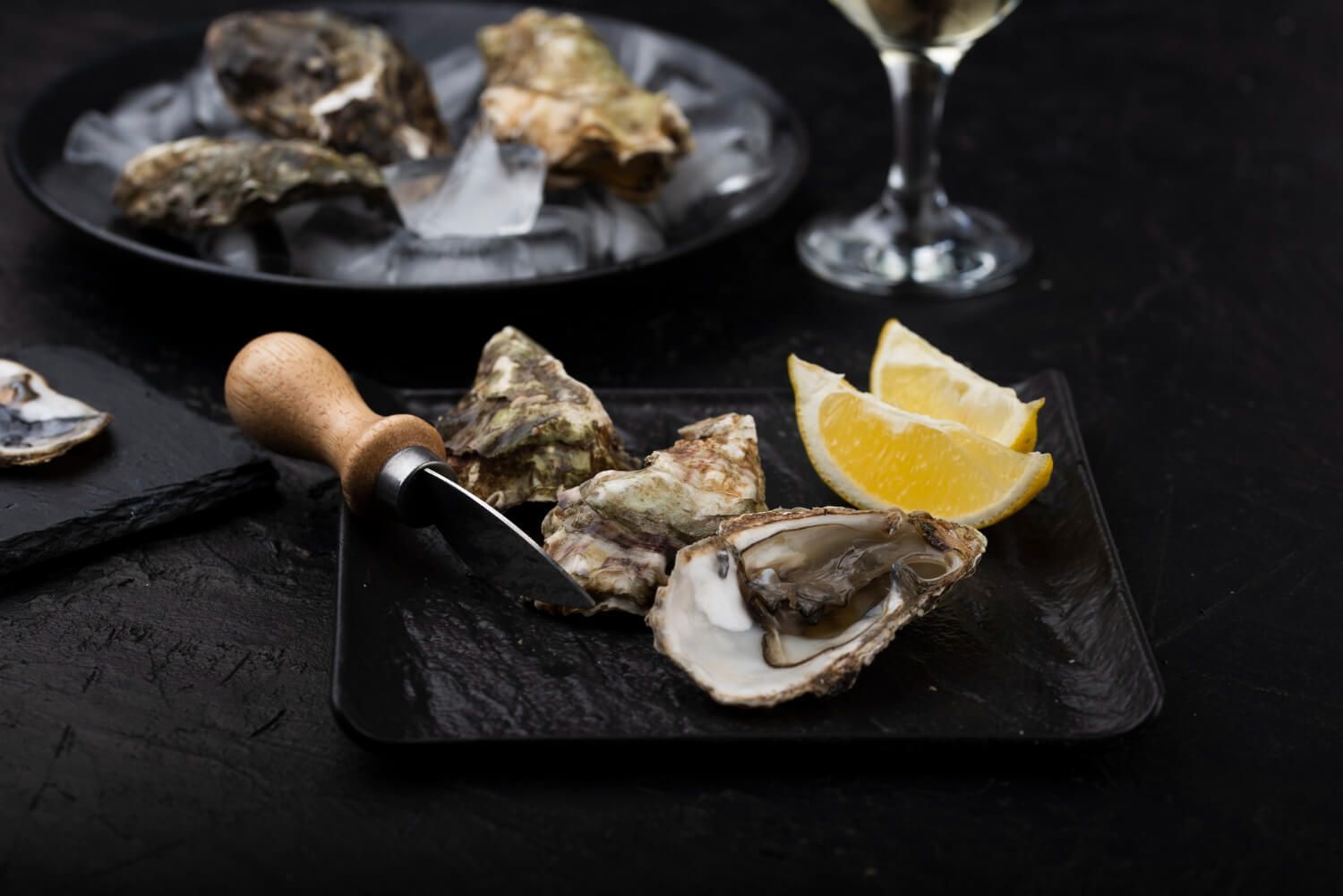 Oyster Knife Care: Tips for Longevity and Performance