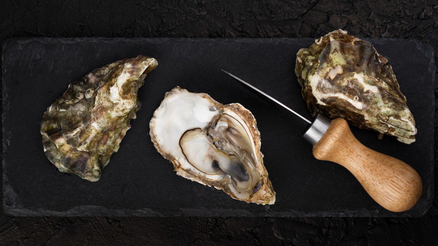Oyster Knife Design: Delving into Its Unique Anatomy