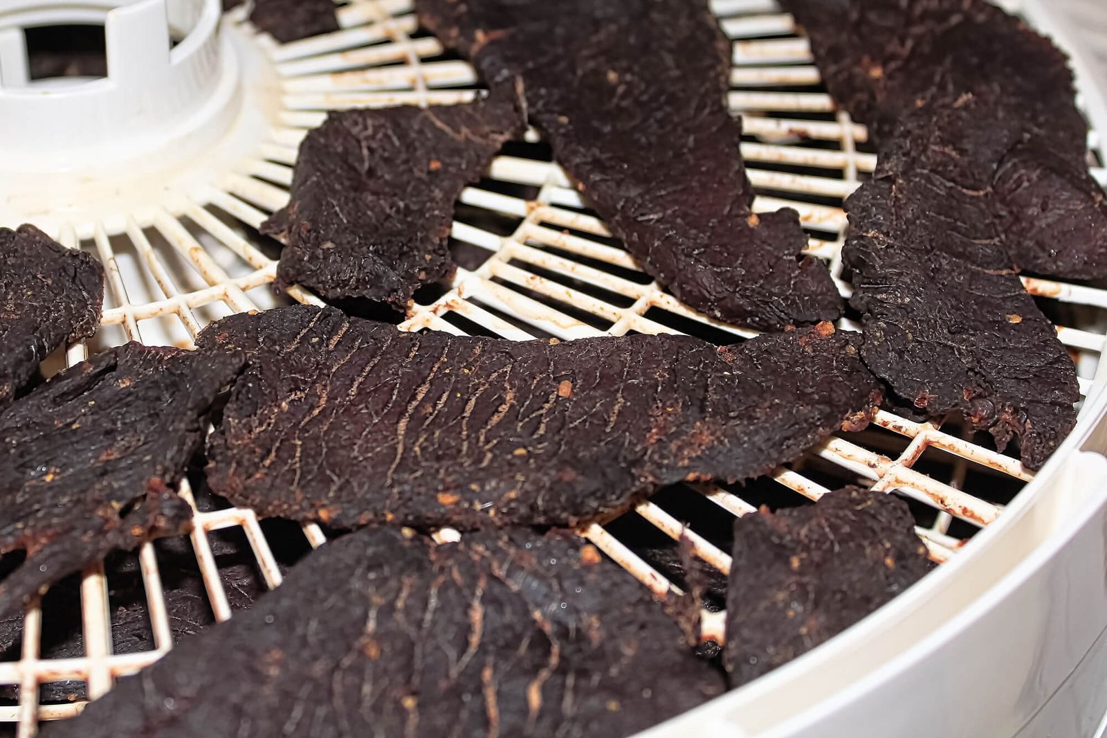 Best Dehydrator for Jerky: Top 5 Picks