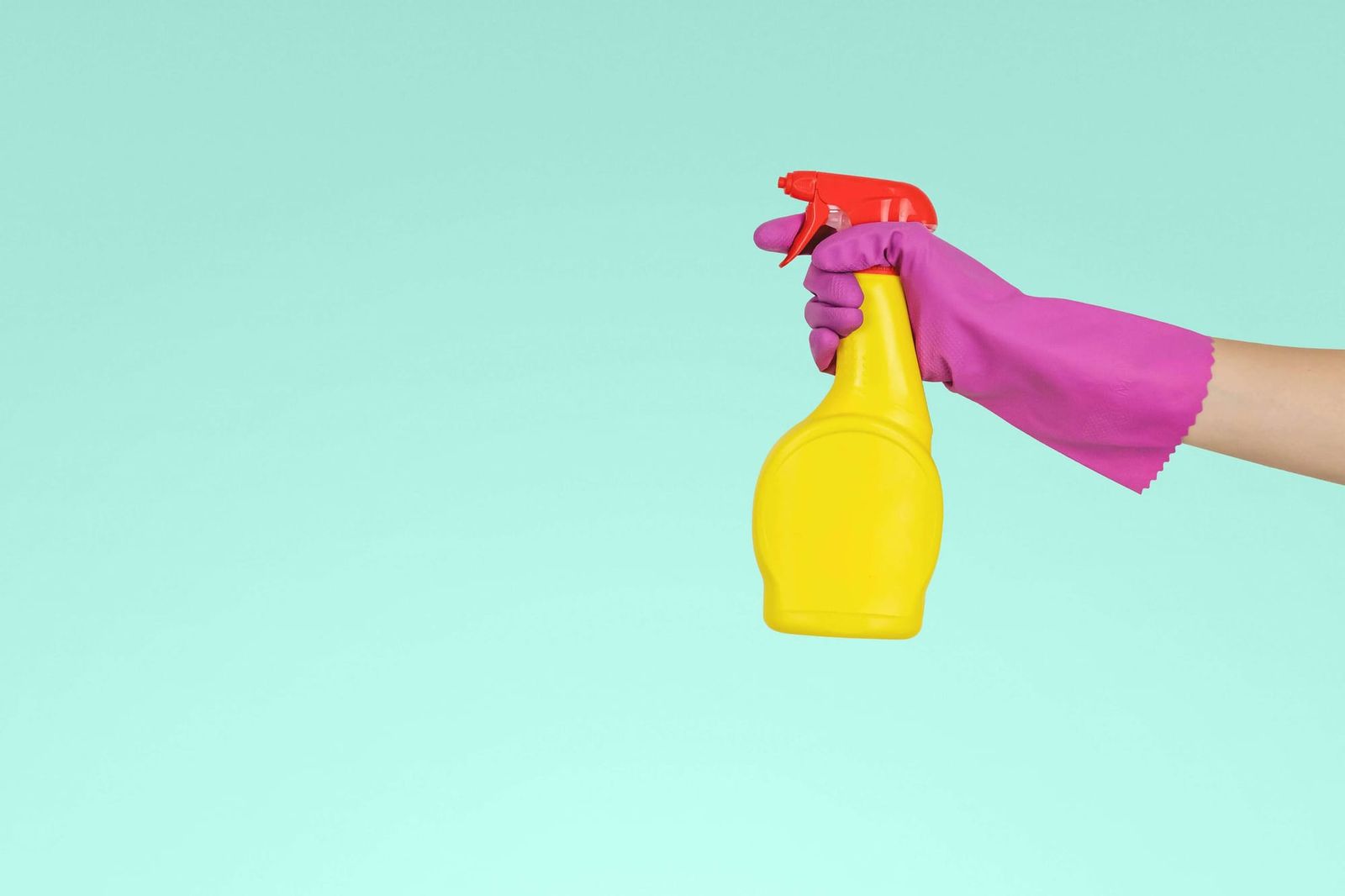 How Dish Soap Doubles as a Natural Solution for Cleaning and Pest Control