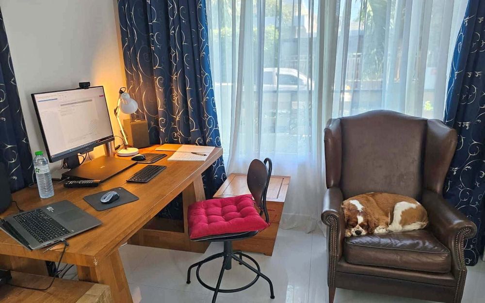 Meet Roy Walker Banner Mobile