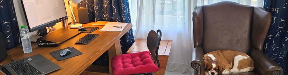 Meet Roy Walker Banner