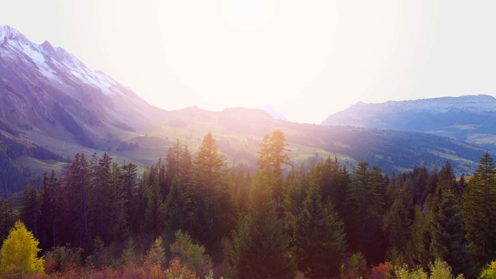 Become a Client Banner