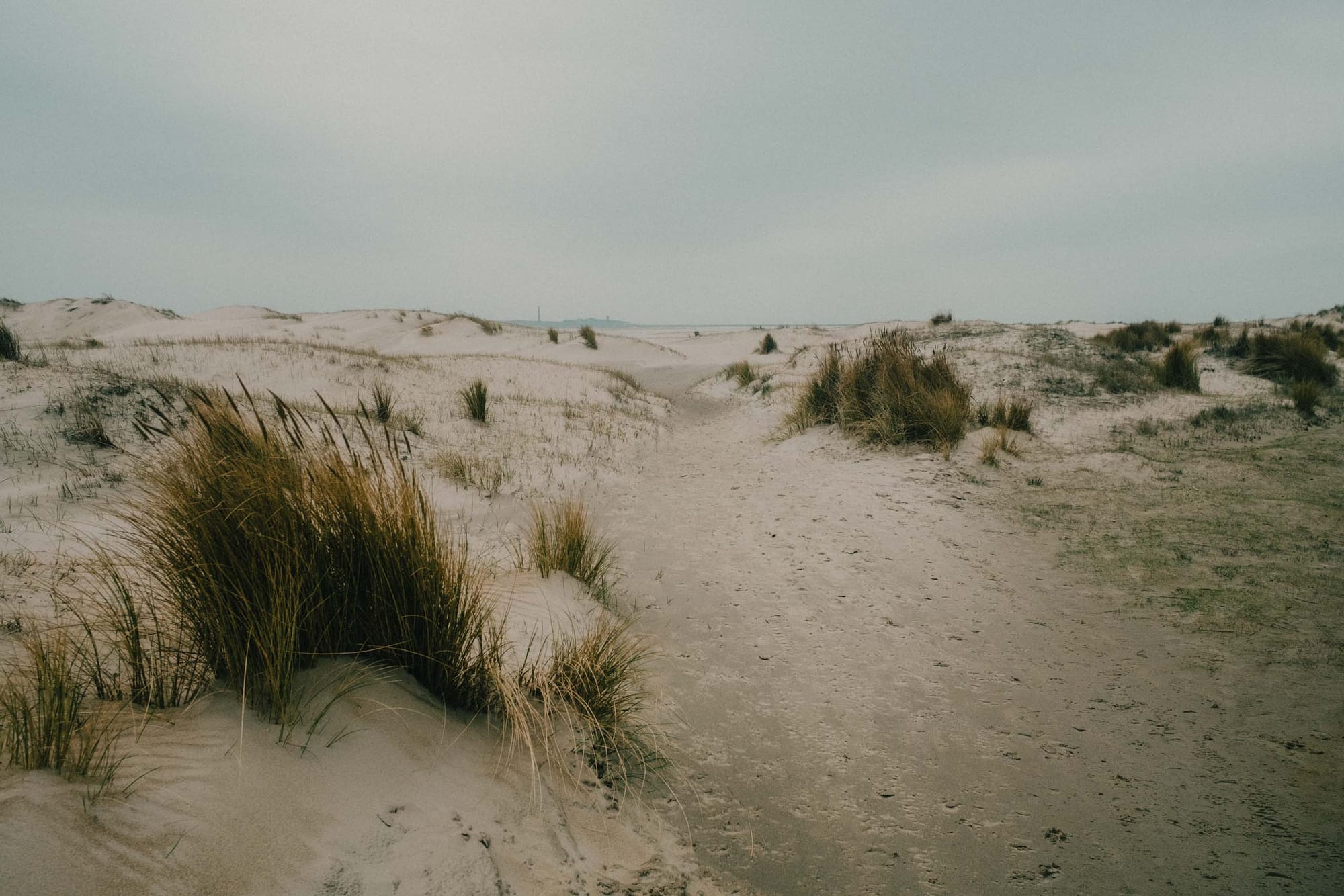 De Hors, the southern tip of Texel. A wide, dynamic landscape of shifting dunes and sand flats formed by wind, tides, and sediment deposition. It is one of the youngest parts of the island, still actively changing in shape. In the distance, across the Marsdiep, stands the&nbsp;Lange Jaap lighthouse&nbsp;in Den Helder, the tallest cast-iron lighthouse in Europe.