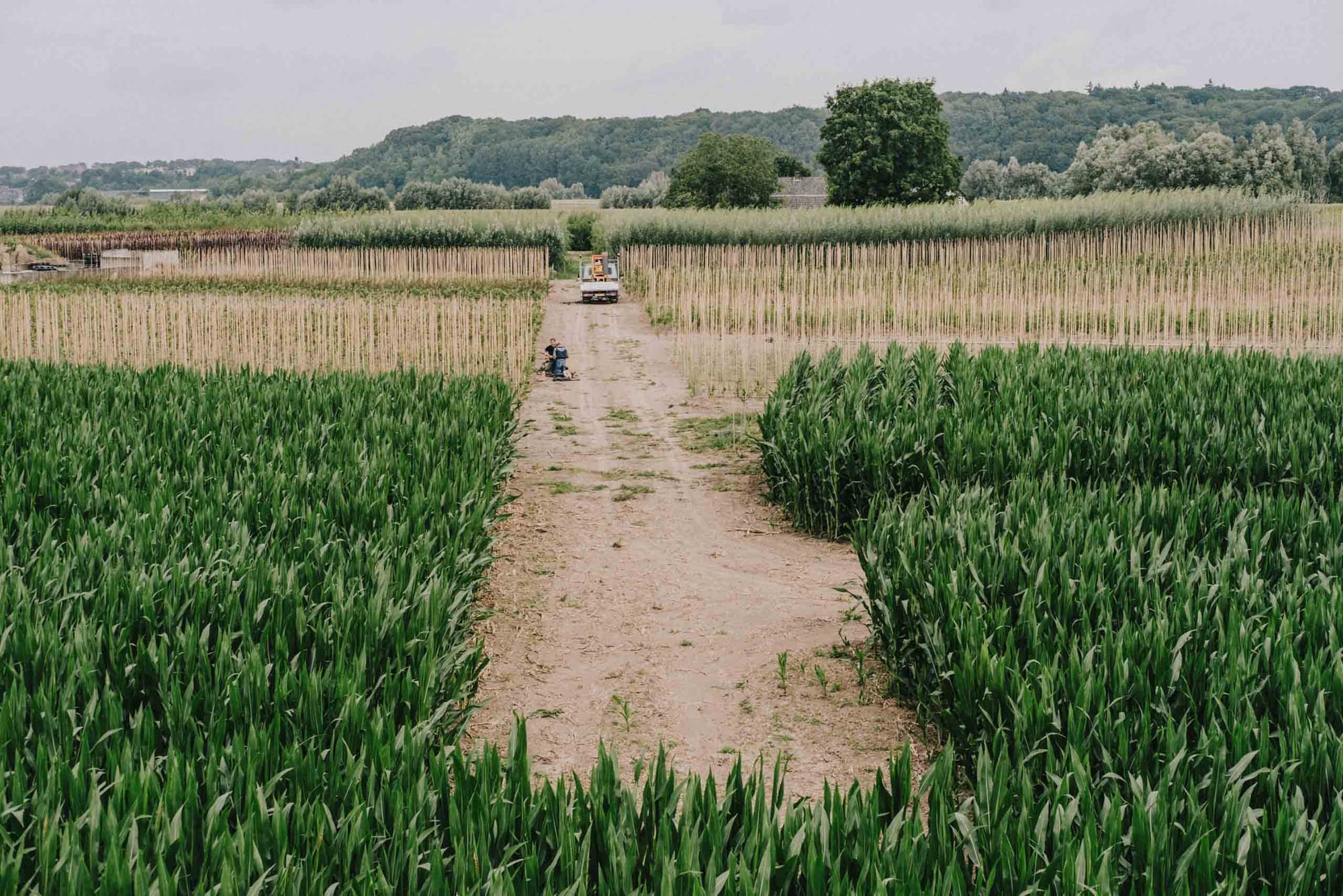 sample image with Fujifilm XF35mm f2 at f5.6 — Opheusden, Netherlands — dirt road cutting through green agricultural fields