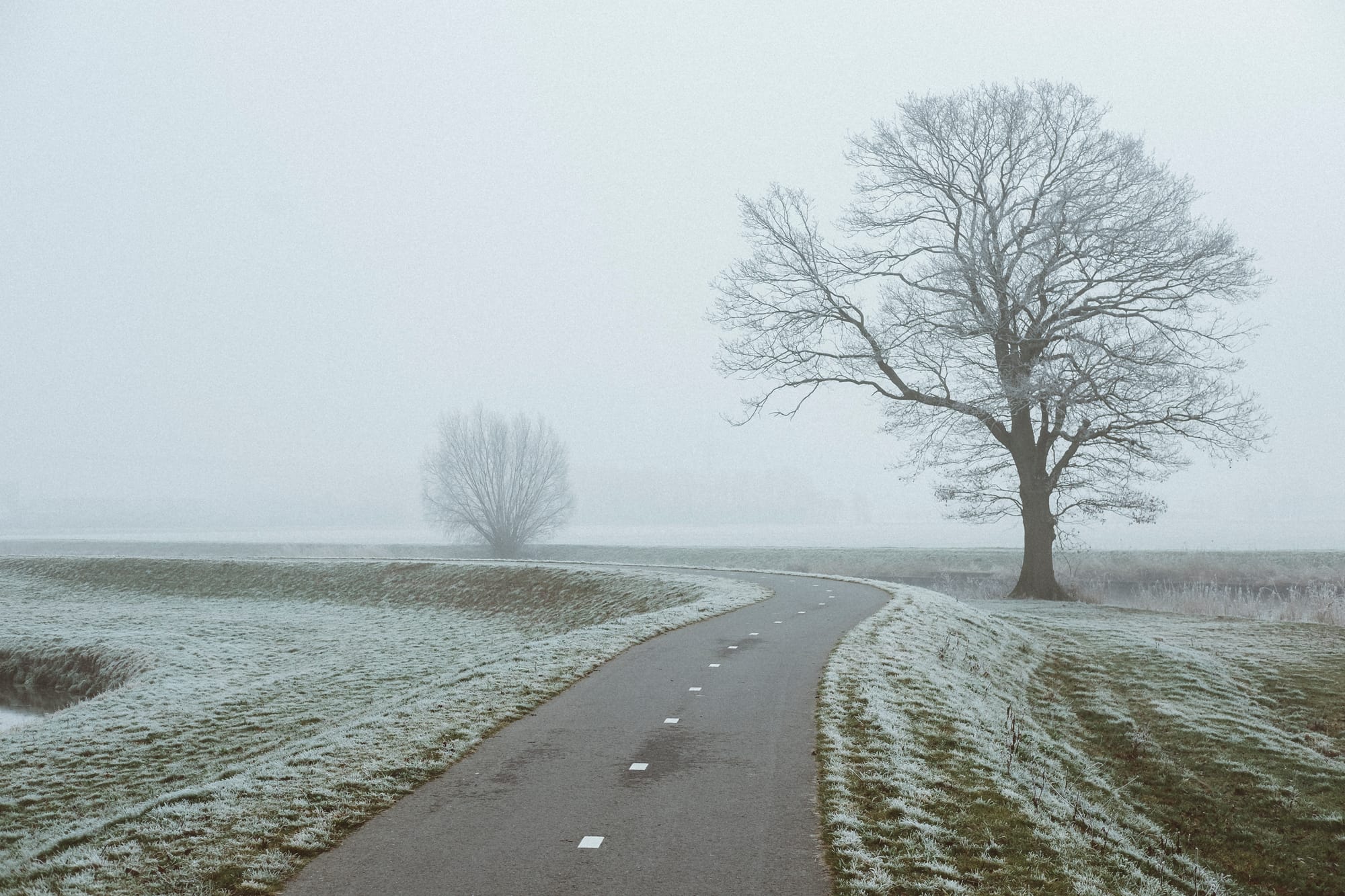 Foggy winter landscape with a winding cycling path and bare trees photographed with the Fujifilm XF35mm f2