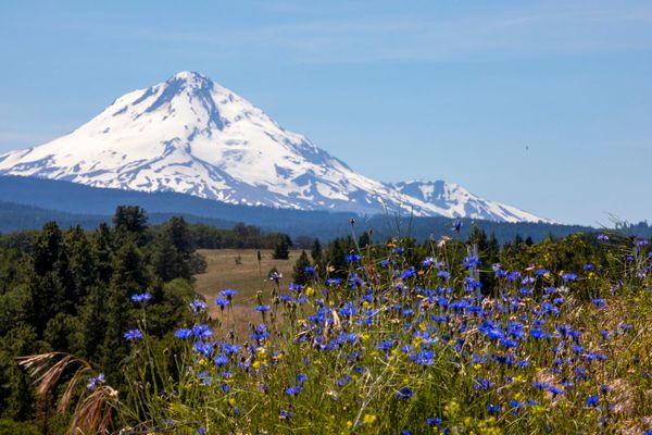 Circumnavigating the Badger