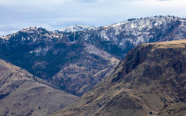 Criterion Crest BLM ride - the back door