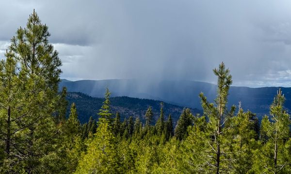 Clouds with virga in the mountains with conifers