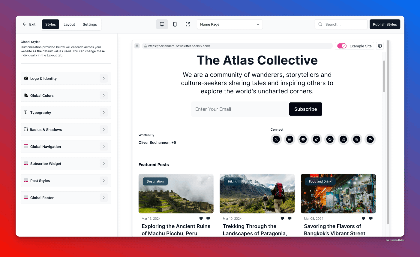 Page with settings to customize the website on beehiiv.