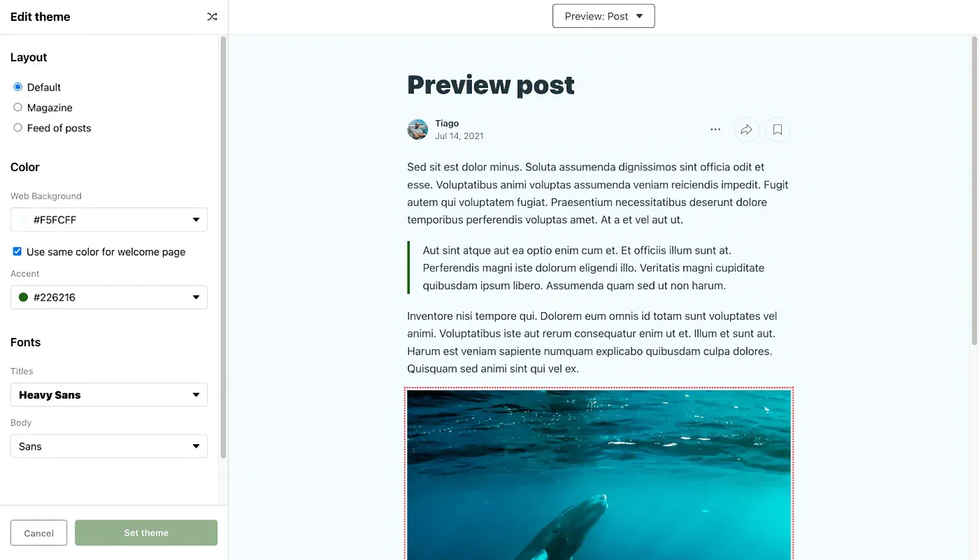 Substack customization options.