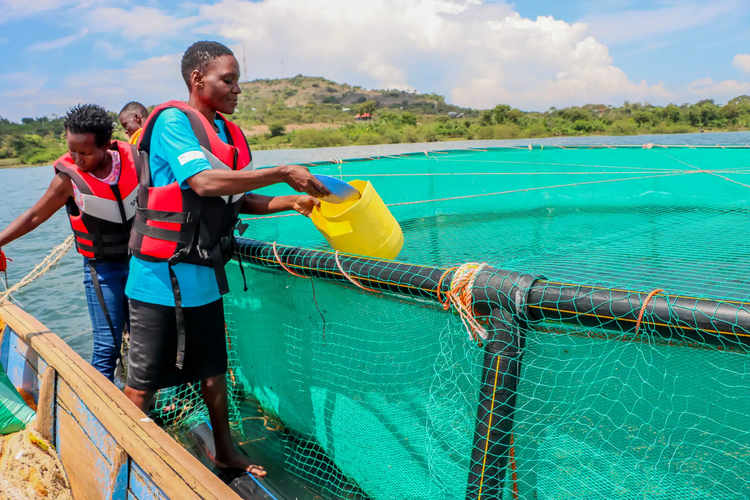 她们不再乞求公平：全球女性经济合作社简报