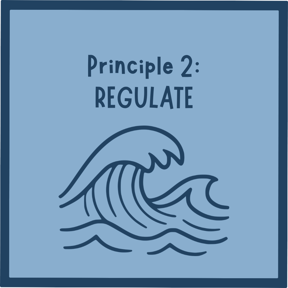 Principle 2: Regulate
