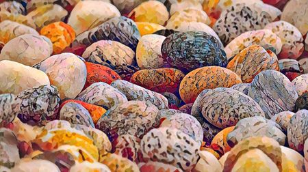 Image of: Living Stones