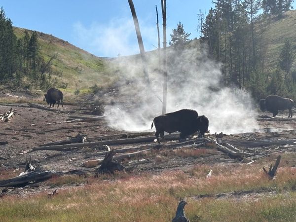 #44 Consider the Awe for Effort metric