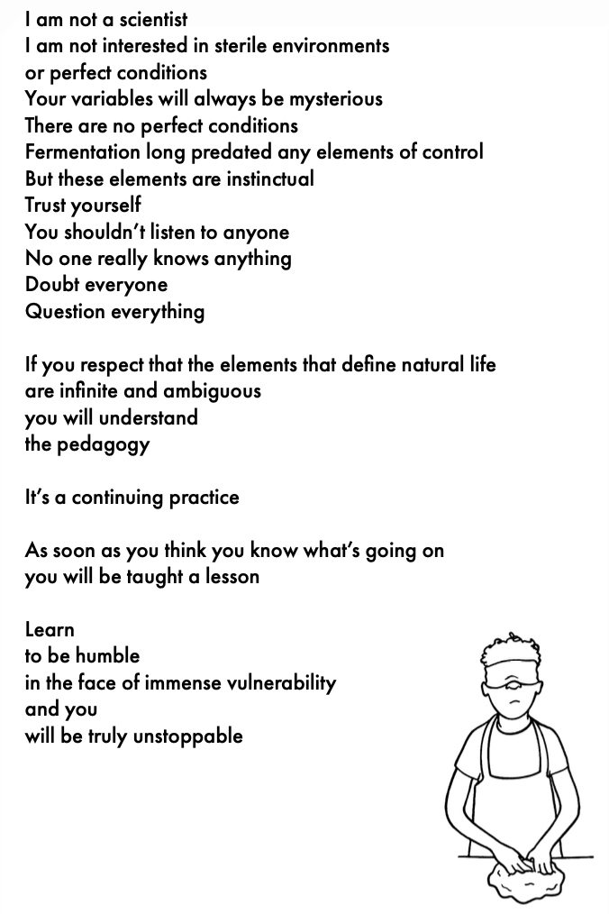 I am not a scientist I am not interested in sterile environments or perfect conditions Your variables will always be mysterious There are no perfect conditions Fermentation long predated any elements of control But these elements are instinctual Trust yourself You shouldn't listen to anyone No one really knows anything Doubt everyone Question everything If you respect that the elements that define natural life are infinite and ambiguous you will understand the pedagogy It's a continuing practice As soon as you think you know what's going on you will be taught a lesson Learn to be humble in the face of immense vulnerability and you will be truly unstoppable