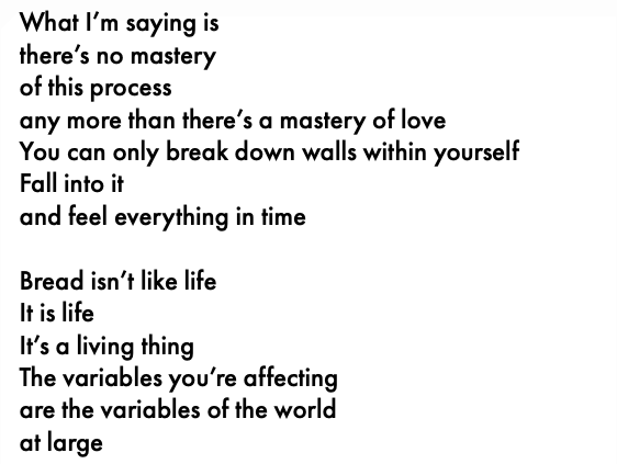 What I'm saying is there's no mastery of this process any more than there's a mastery of love You can only break down walls within yourself Fall into it and feel everything in time Bread isn't like life It is life It's a living thing The variables you're affecting are the variables of the world at large