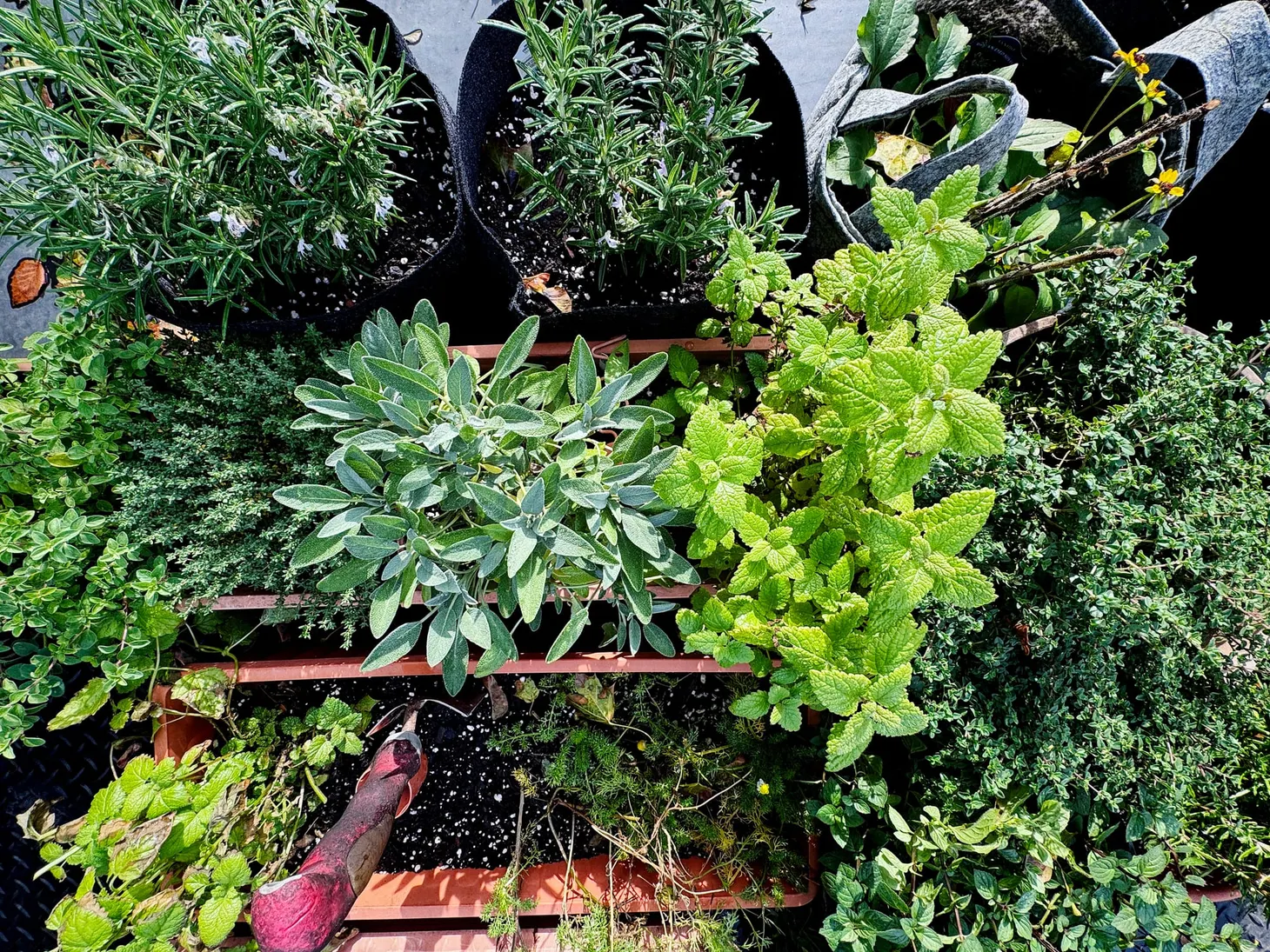 Everything's Gone Green